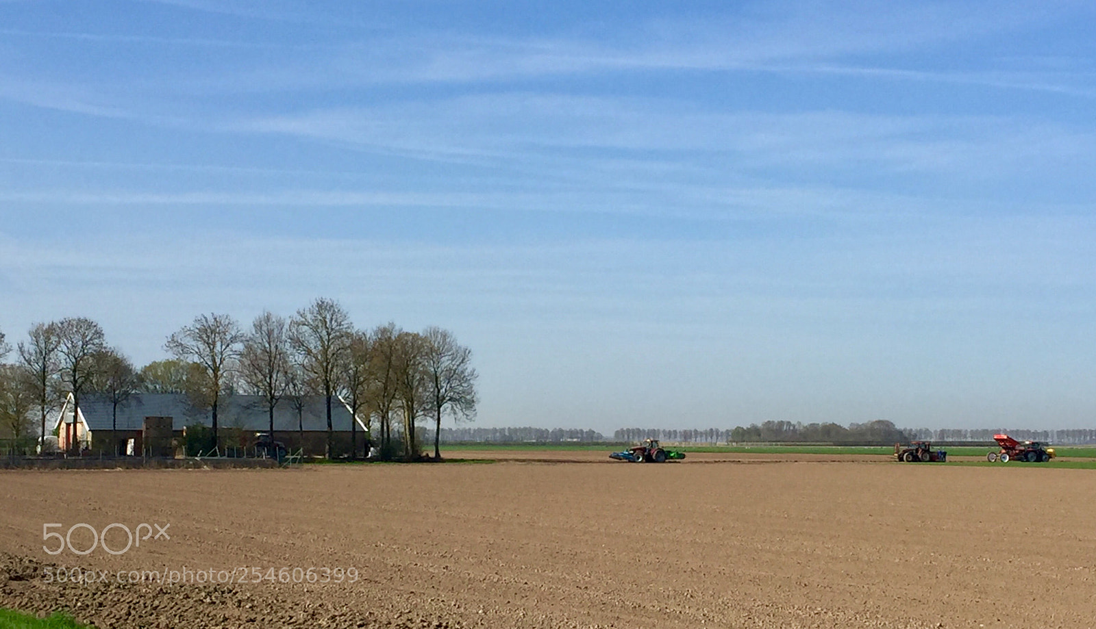 Apple iPhone 6 sample photo. The polder.  photography