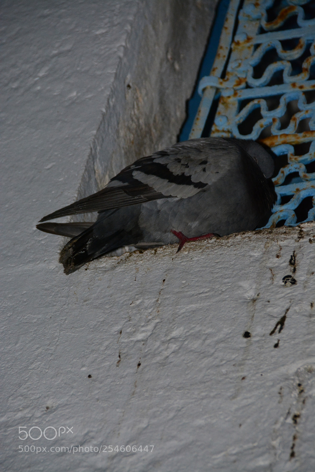 Nikon D7100 sample photo. Erdemit photography