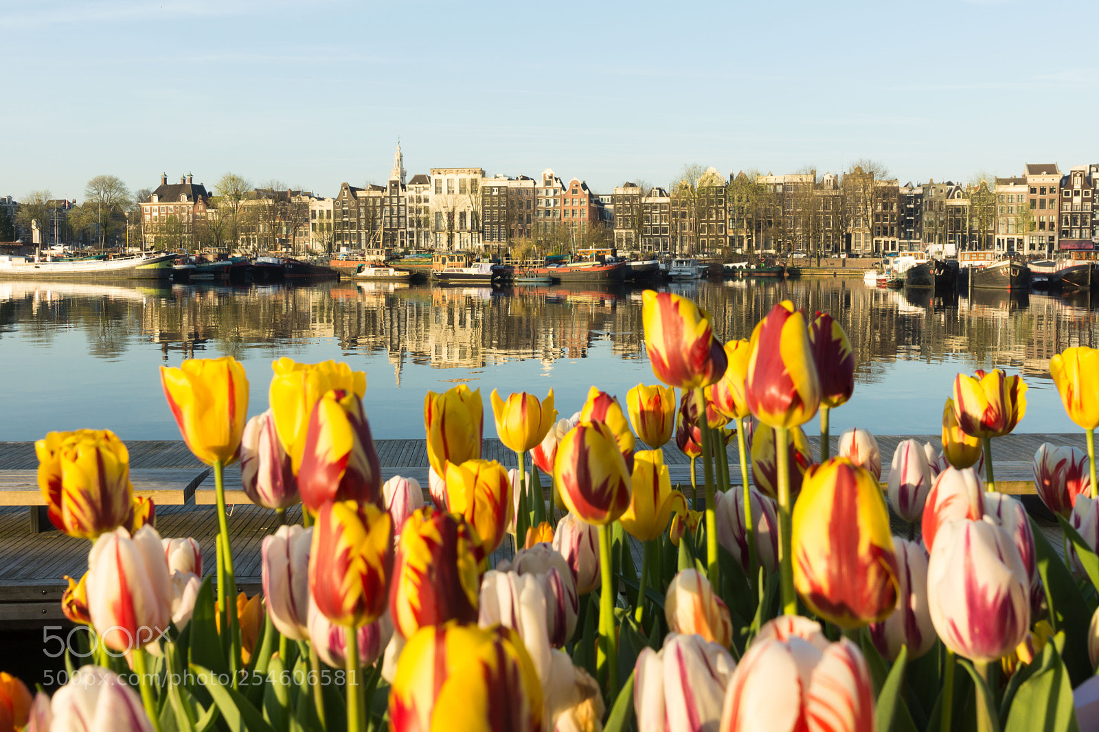 Sony SLT-A65 (SLT-A65V) sample photo. Amsterdam photography