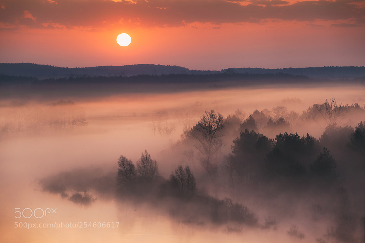 Canon EOS 5D Mark II sample photo. When the day wakes photography