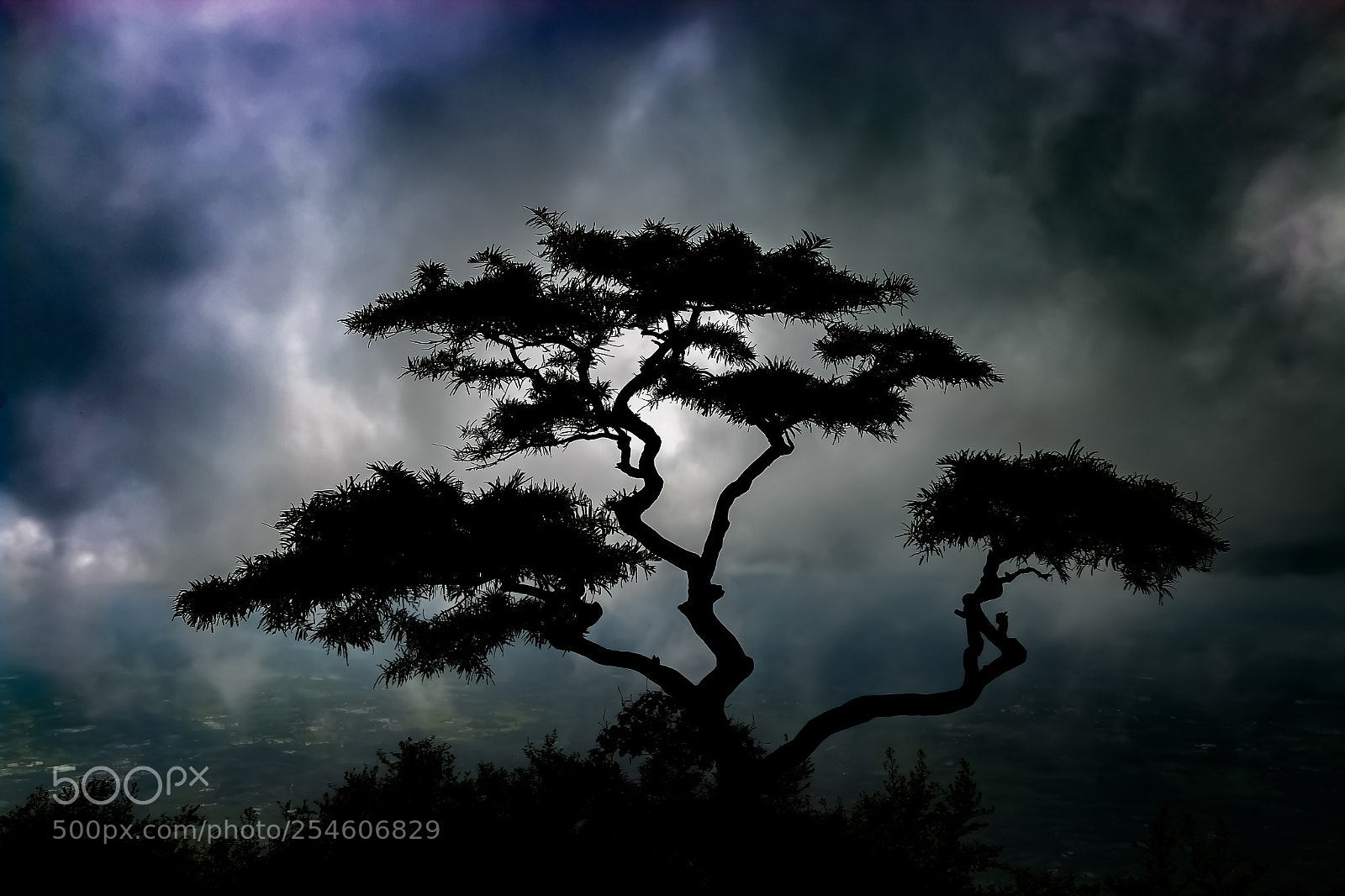 Canon EOS 70D sample photo. Silhouette landscape photography