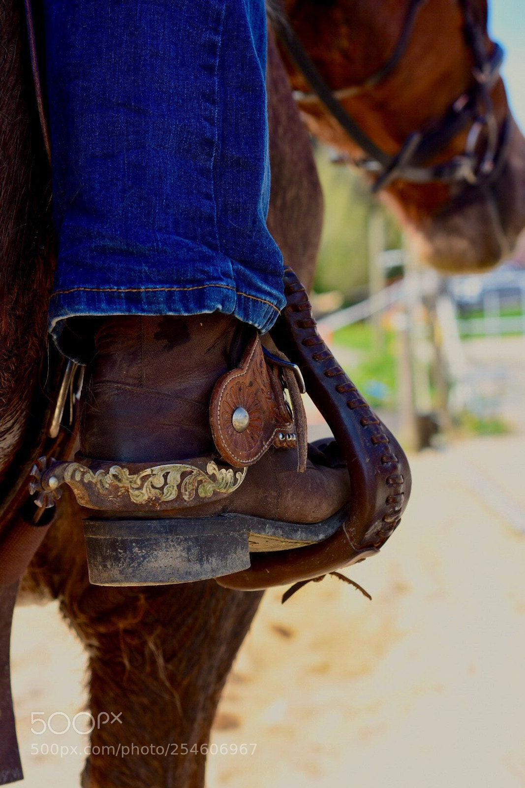 Nikon D7200 sample photo. Western style photography