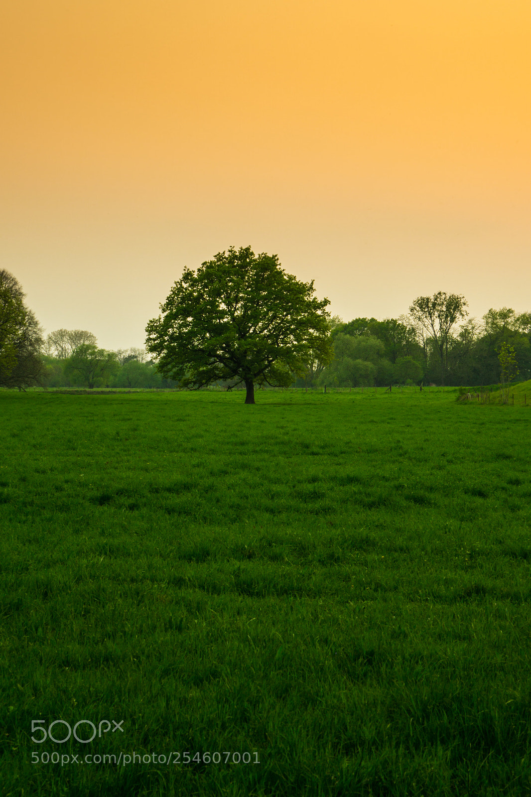 Sony a6000 sample photo. Countryside photography