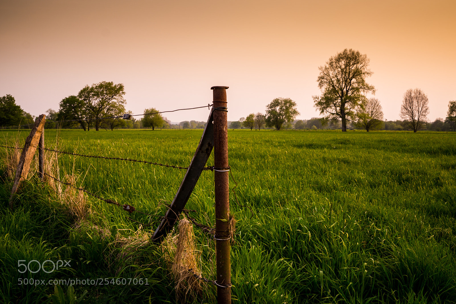 Sony a6000 sample photo. Countryside photography