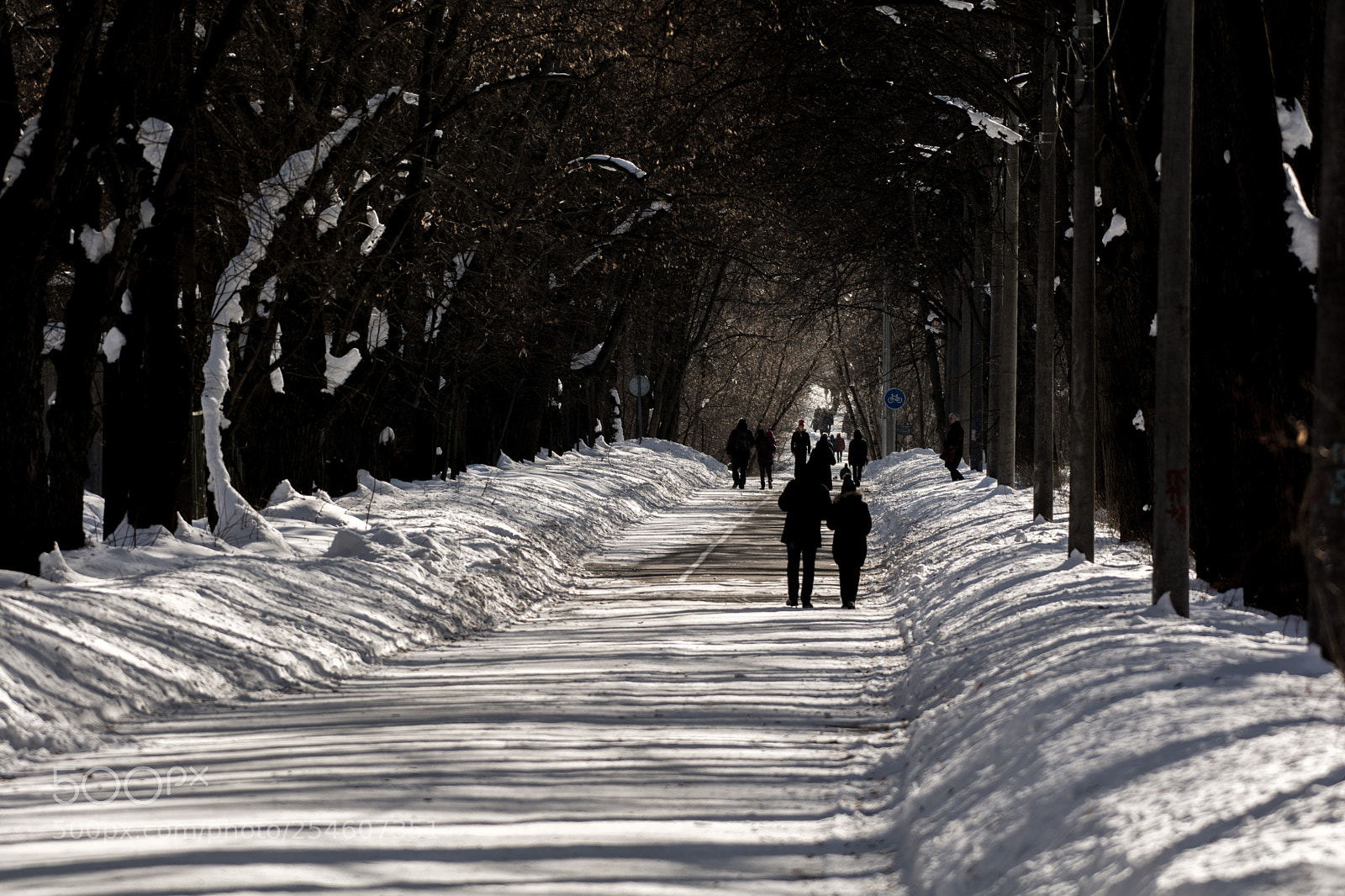 Nikon D7100 sample photo. 7090.jpg photography