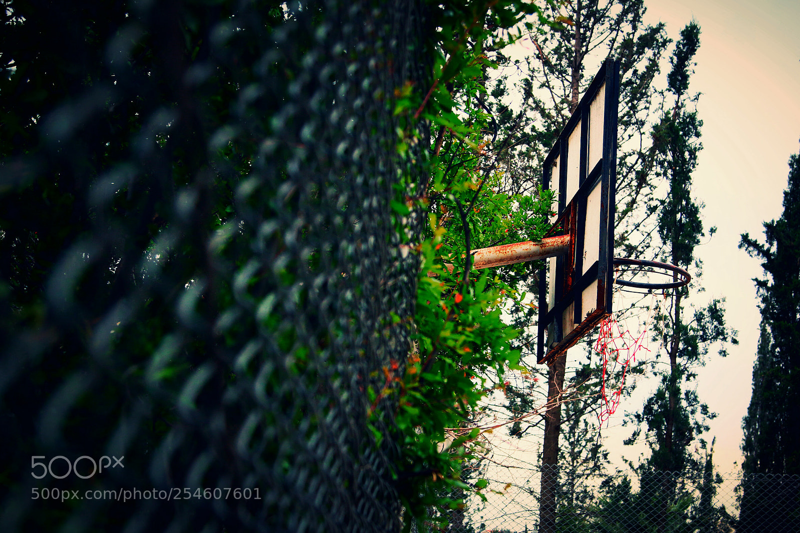 Canon EOS 70D sample photo. Untitled photography