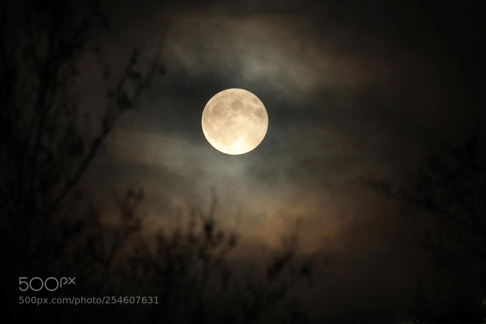 Canon EOS 1100D (EOS Rebel T3 / EOS Kiss X50) sample photo. Nice moon shot photography
