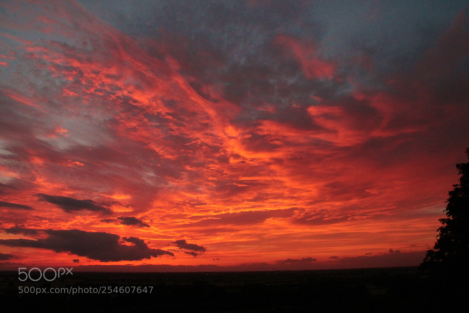 Canon EOS 1100D (EOS Rebel T3 / EOS Kiss X50) sample photo. Sky is on fire photography