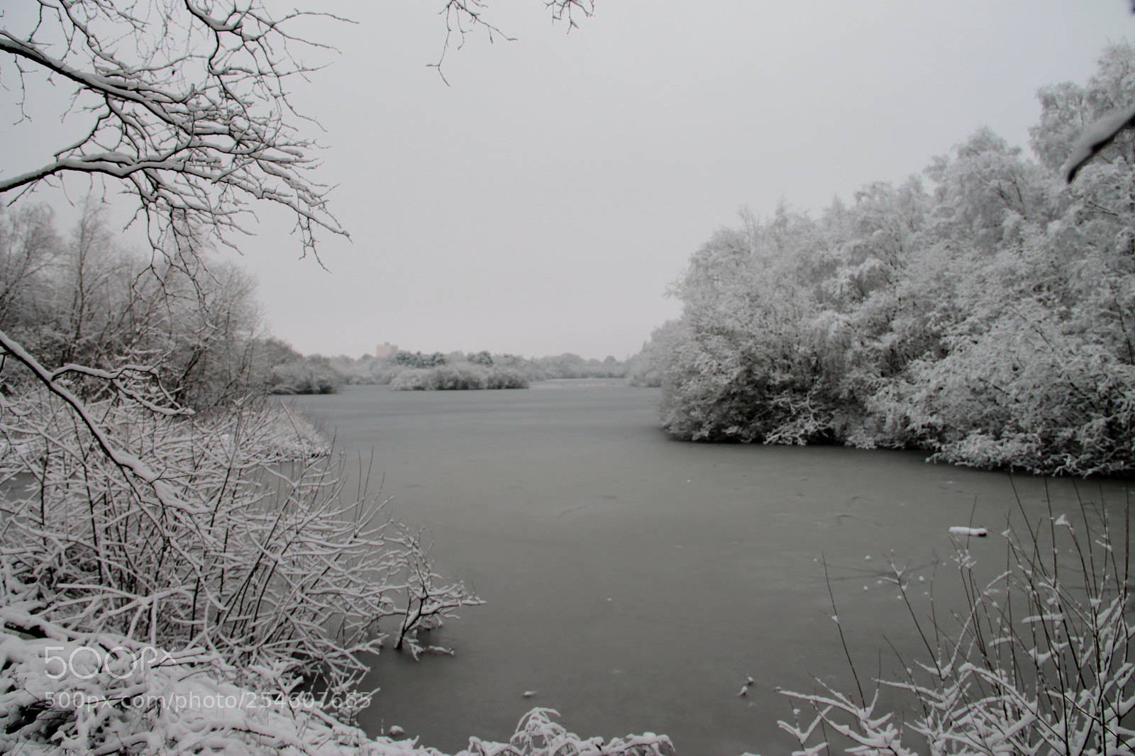 Canon EOS 1100D (EOS Rebel T3 / EOS Kiss X50) sample photo. Frosty start photography