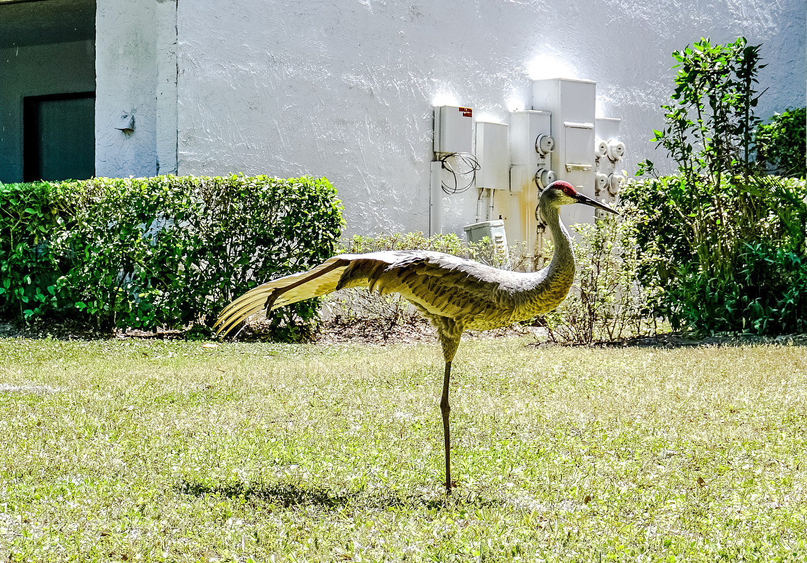 Sony a6300 sample photo. Morning exercise photography