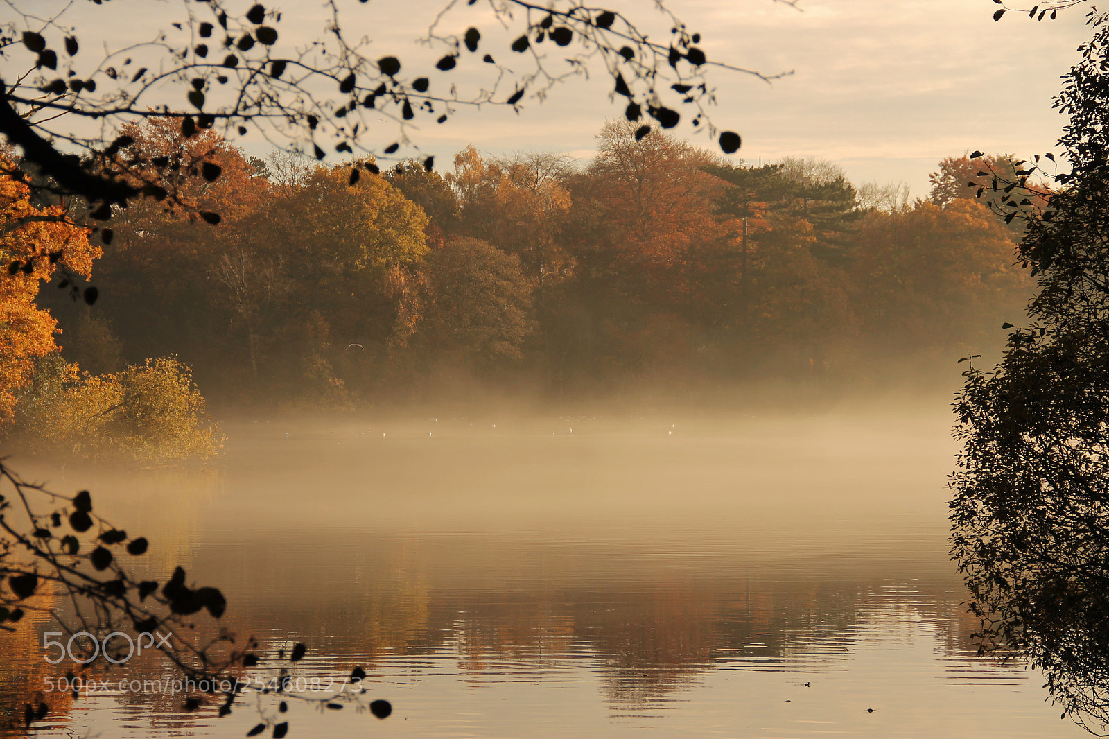 Canon EOS 1100D (EOS Rebel T3 / EOS Kiss X50) sample photo. Misty autumn colours photography