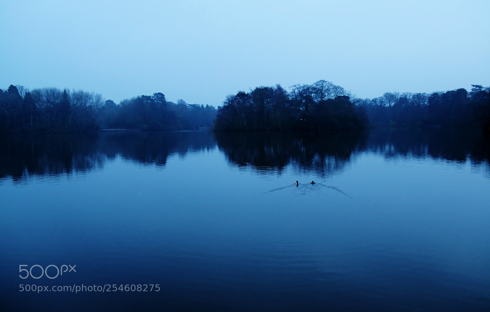 Canon EOS 70D sample photo. The blue hour photography