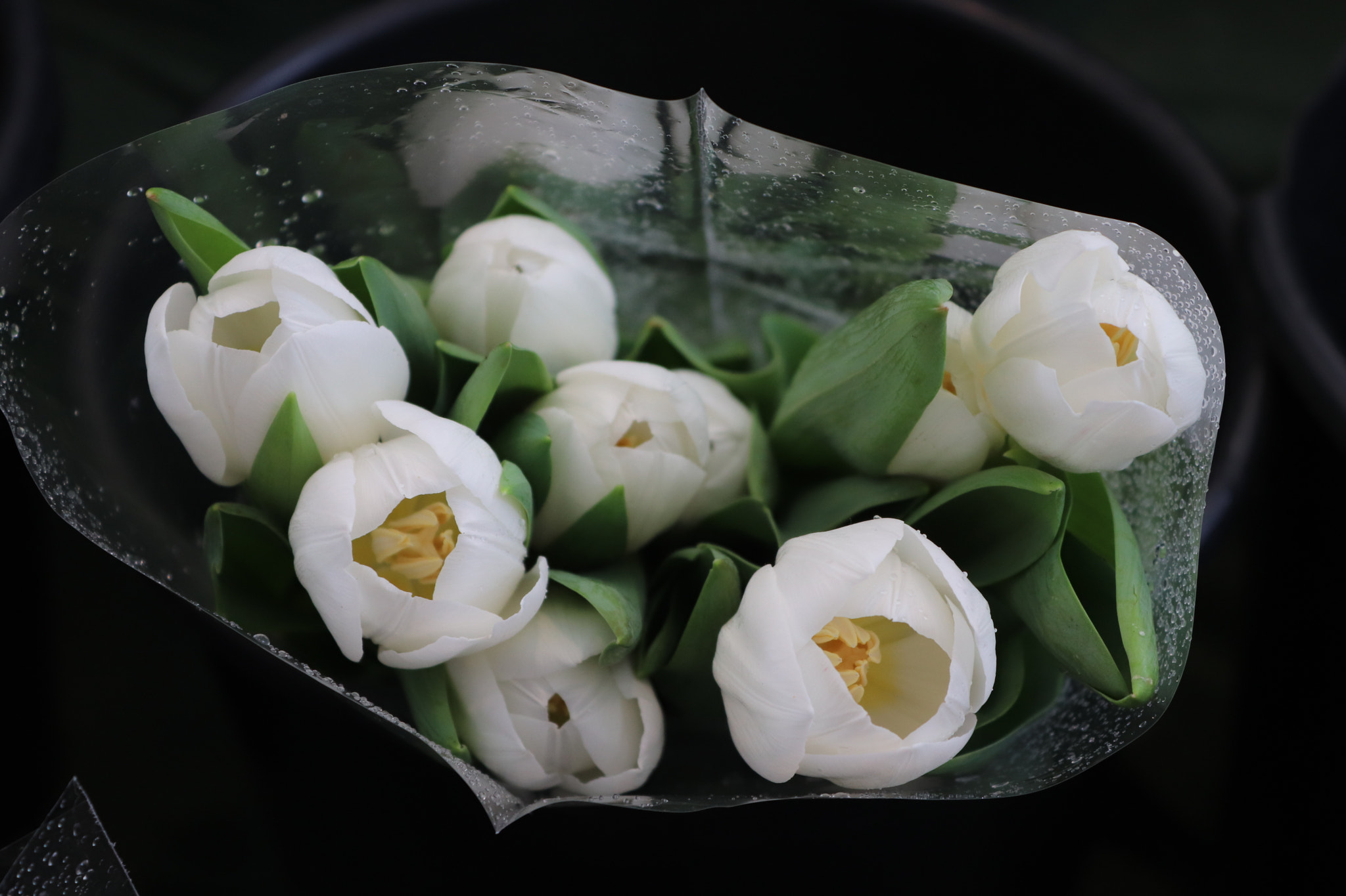 Canon EOS 77D (EOS 9000D / EOS 770D) sample photo. Img photography