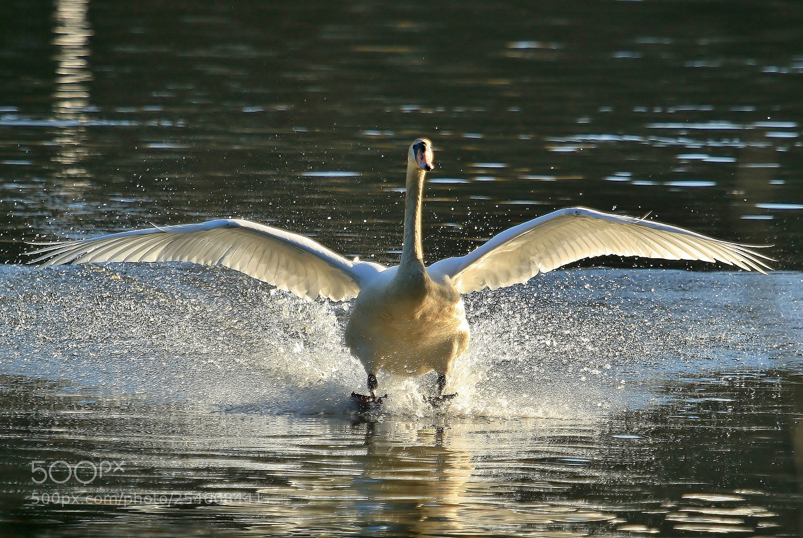 Canon EOS 70D sample photo. Cleared for landing photography