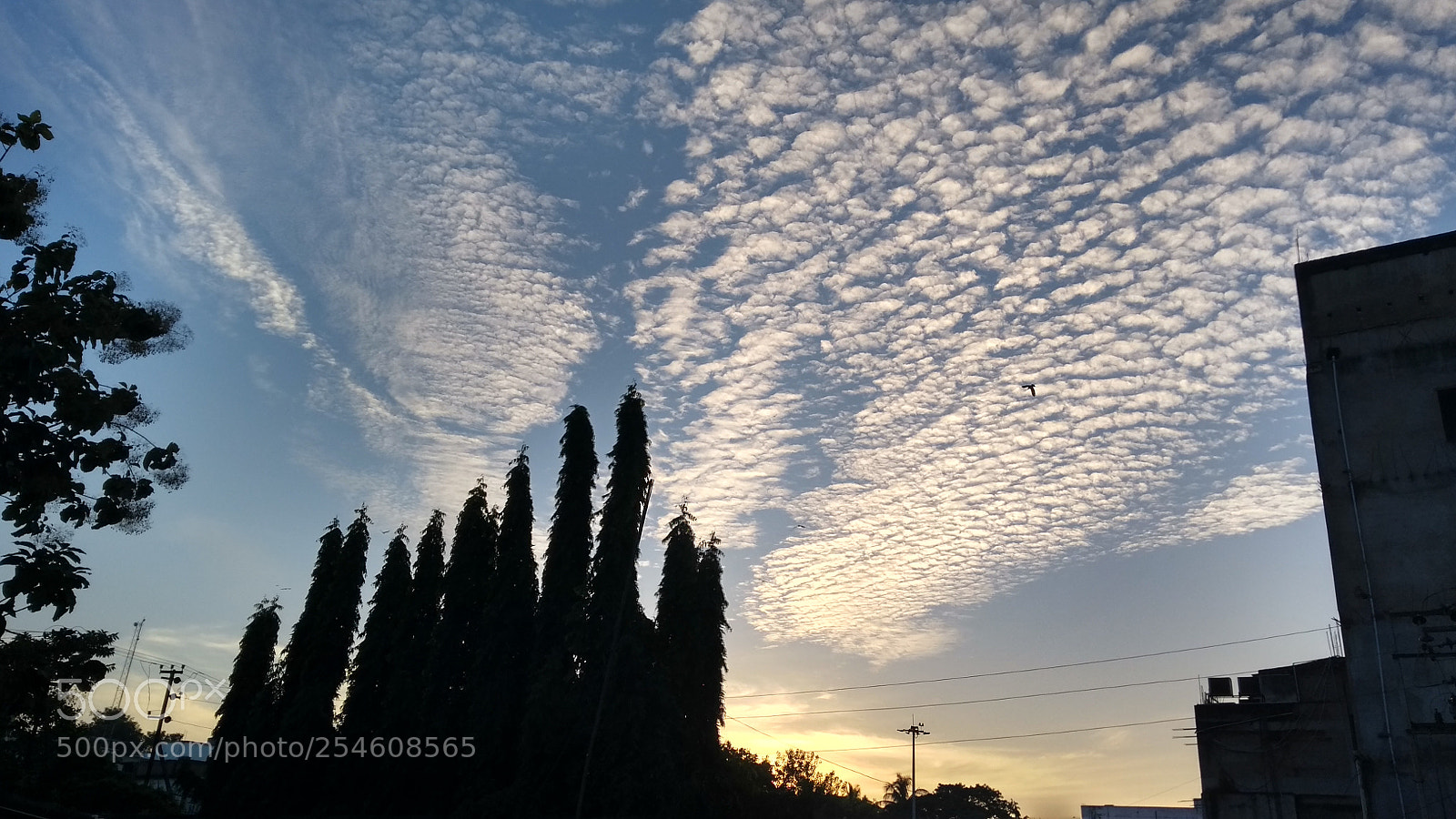 Motorola Moto G (5th Gen) sample photo. Untitled photography