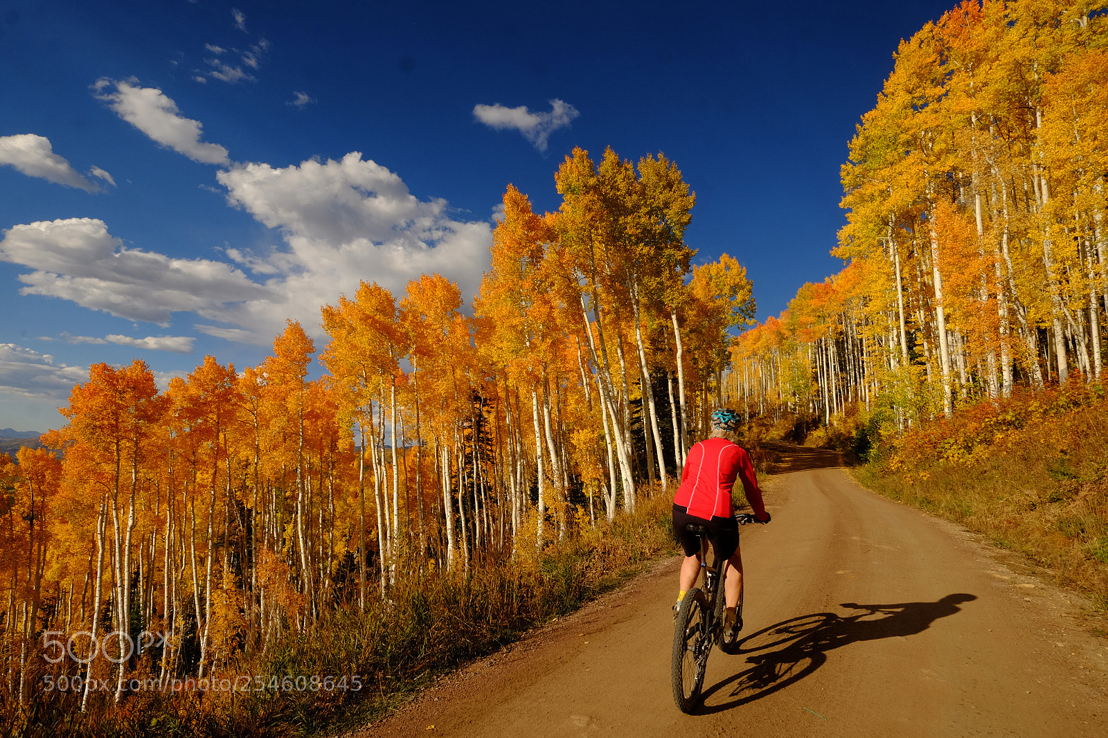 Fujifilm X-T1 sample photo. Mtnbikefall photography