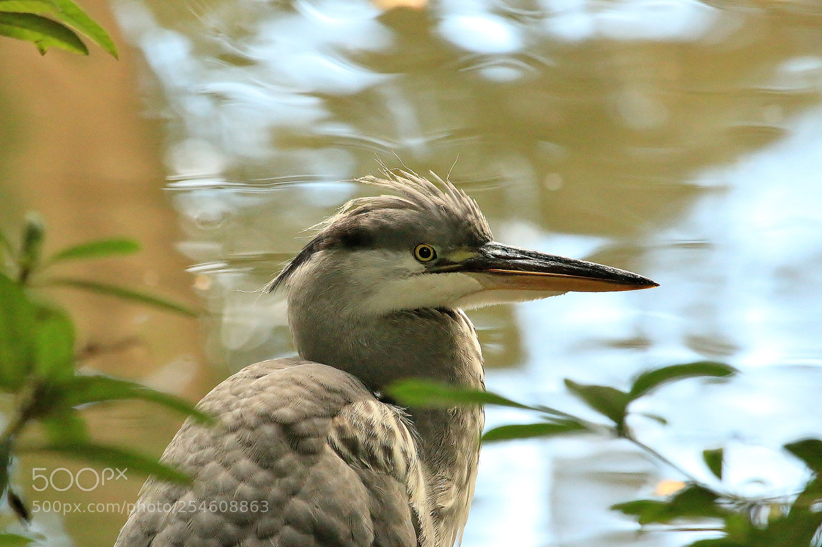 Canon EOS 70D sample photo. Untitled photography