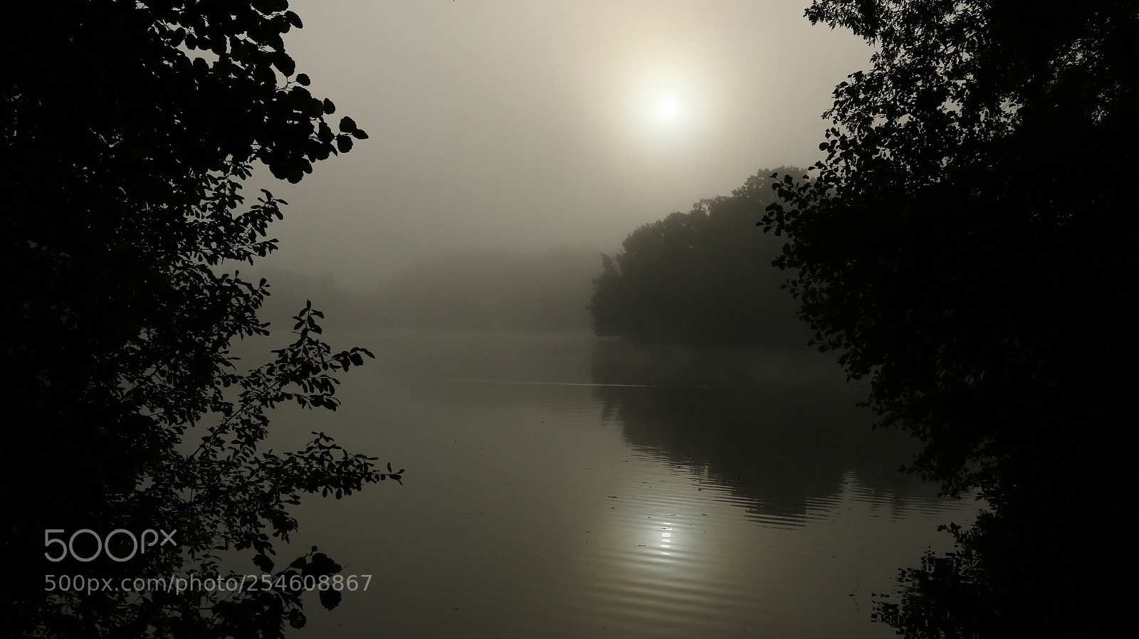 Canon EOS 70D sample photo. Misty morning photography