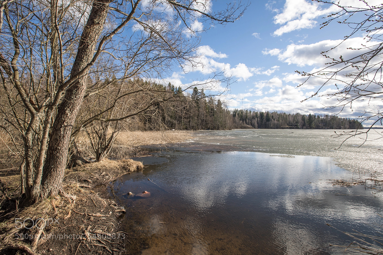 Canon EOS 5D Mark IV sample photo. Afternoon lake iii photography