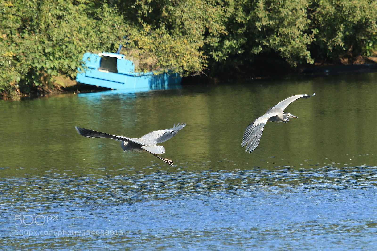 Canon EOS 70D sample photo. Syncronised flying photography