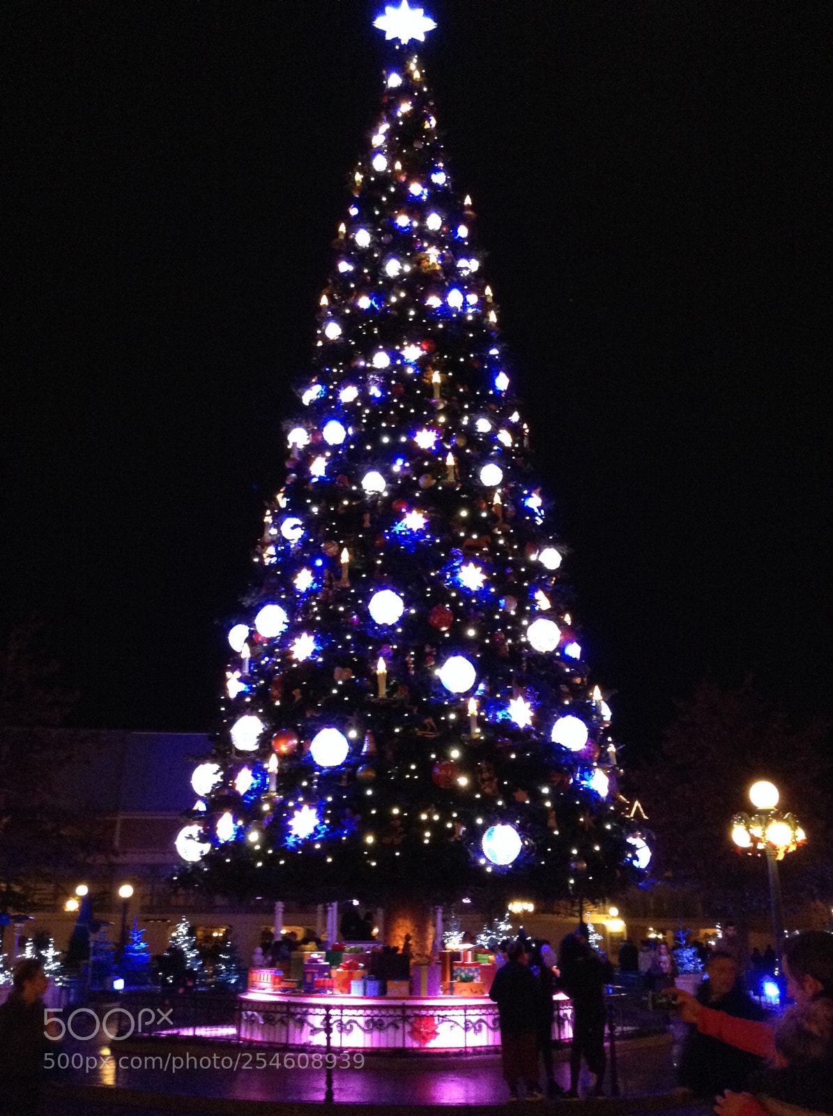 Apple iPod touch sample photo. Christmas tree photography