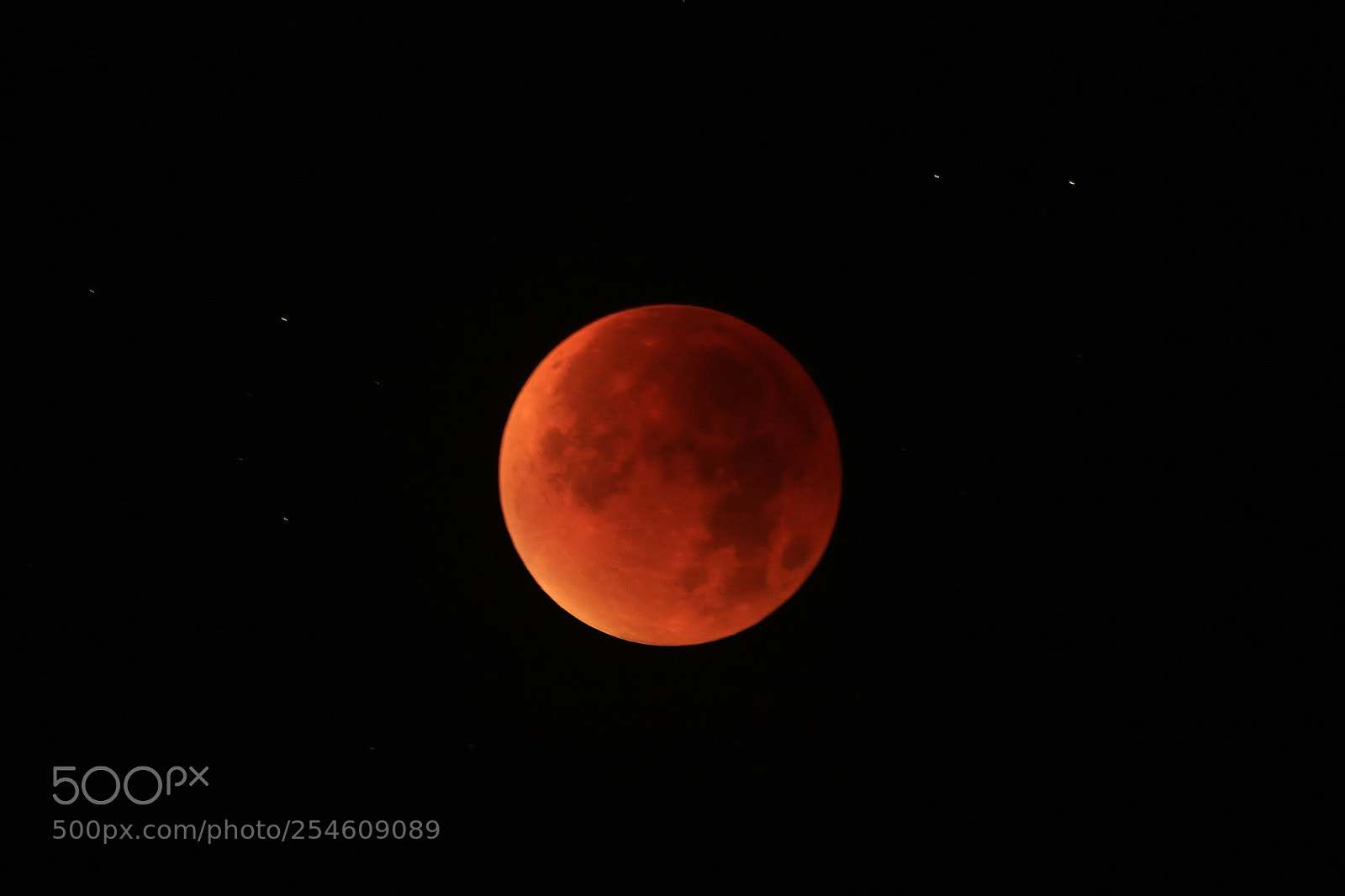 Canon EOS 70D sample photo. Blood moon again photography