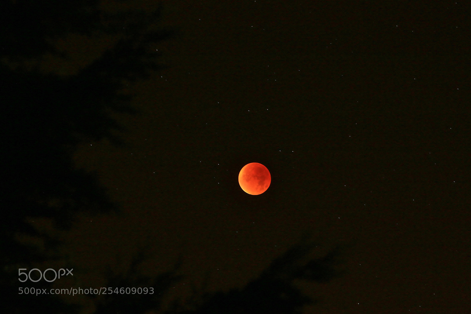 Canon EOS 70D sample photo. Blood moon photography
