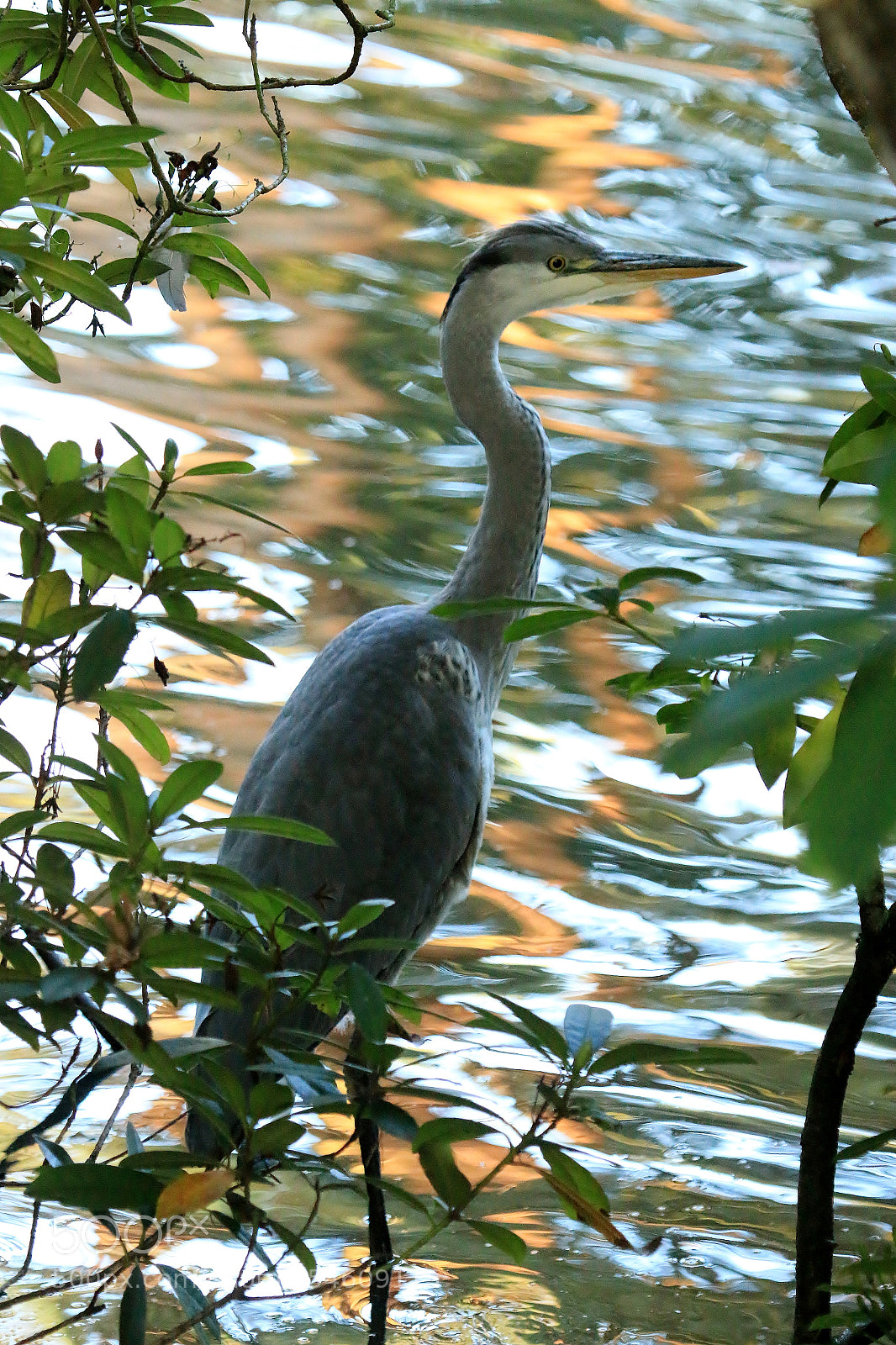 Canon EOS 70D sample photo. Untitled photography
