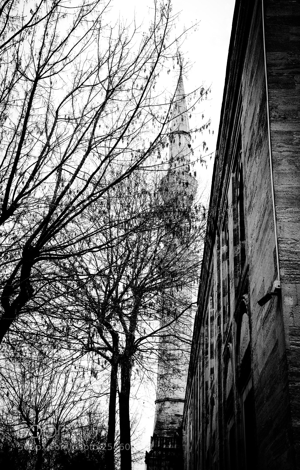 Nikon D7100 sample photo. Black and white... photography