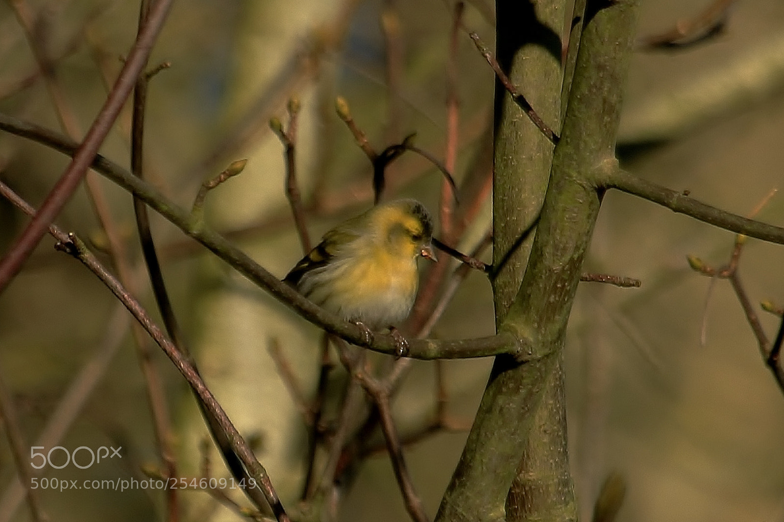 Canon EOS 70D sample photo. No idea what this photography
