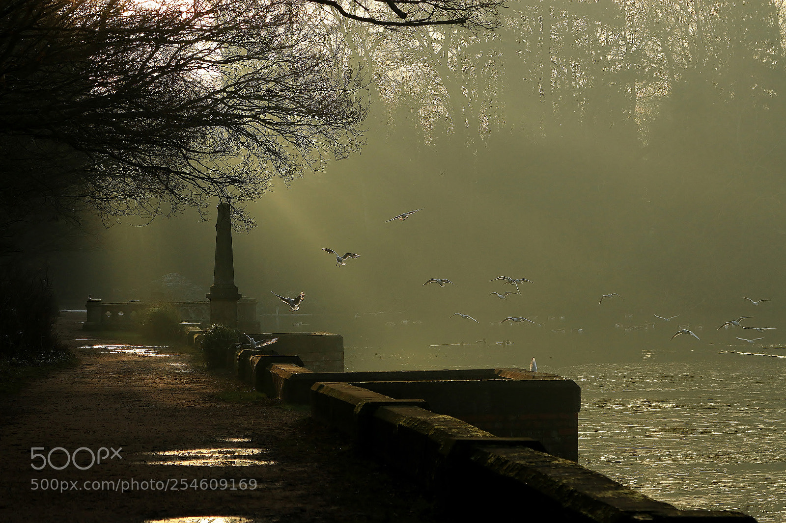 Canon EOS 70D sample photo. Misty sunday,,,, yeah you photography