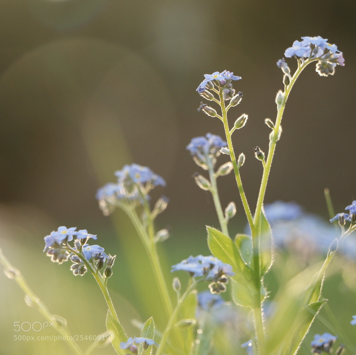 Canon EOS 70D sample photo. Untitled photography