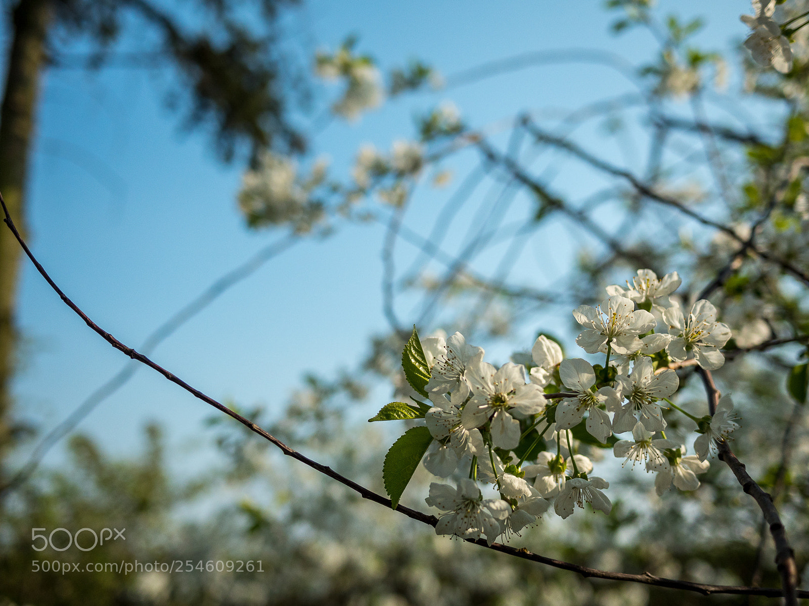Panasonic Lumix DMC-GH4 sample photo. Untitled photography