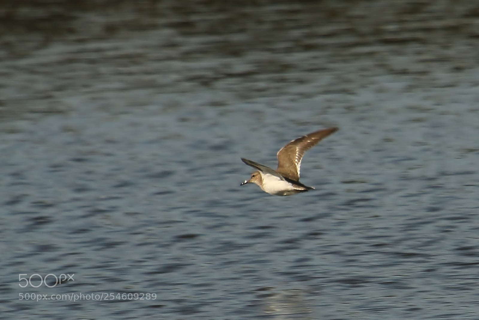Canon EOS 70D sample photo. No idea what this photography