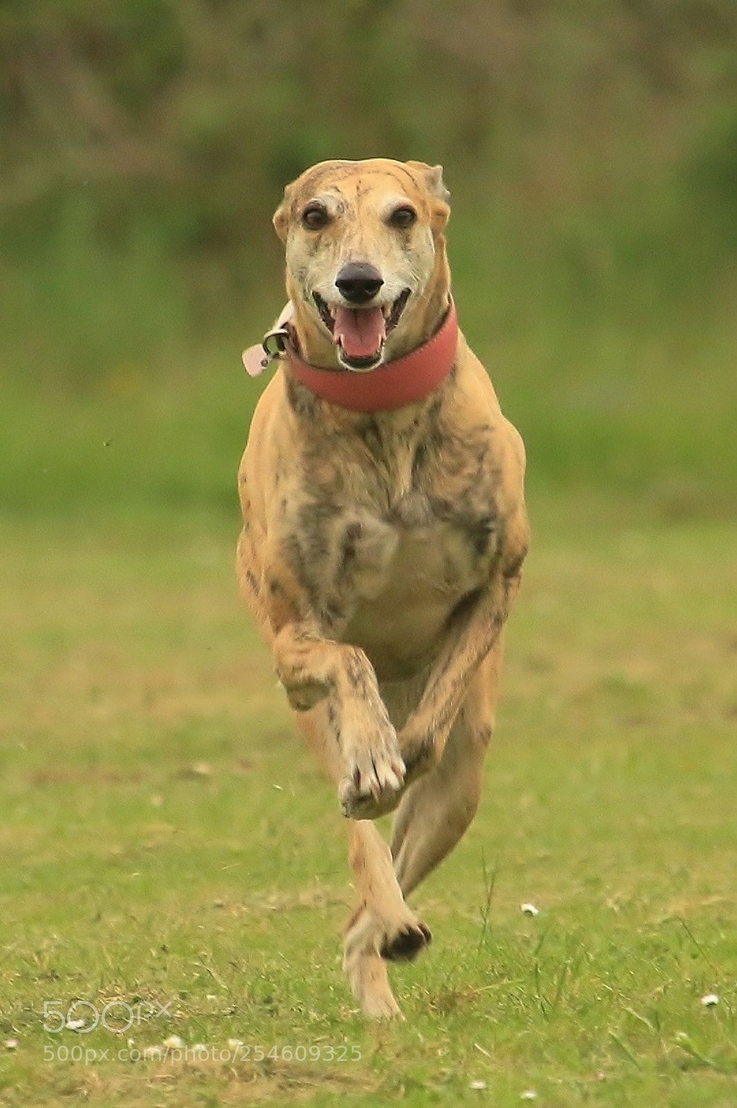 Canon EOS 70D sample photo. Incoming!! photography