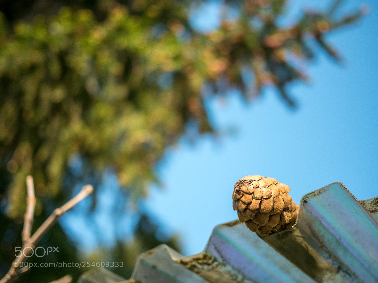 Panasonic Lumix DMC-GH4 sample photo. Untitled photography