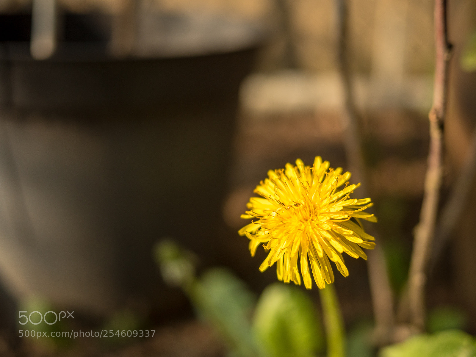 Panasonic Lumix DMC-GH4 sample photo. Untitled photography
