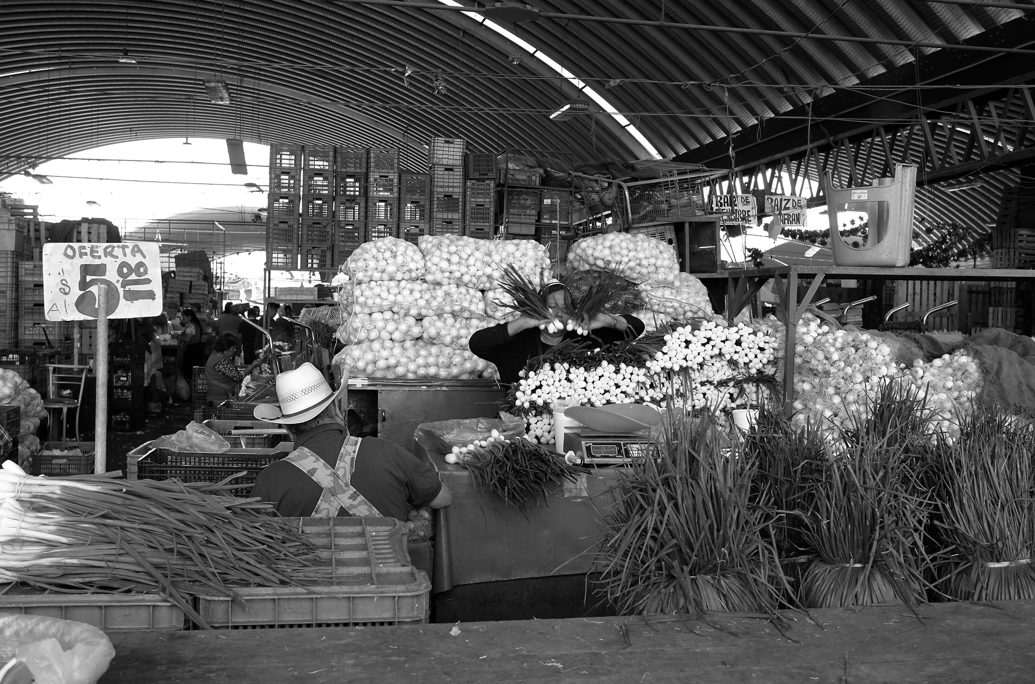 Leica X2 sample photo. Selecting garlic photography