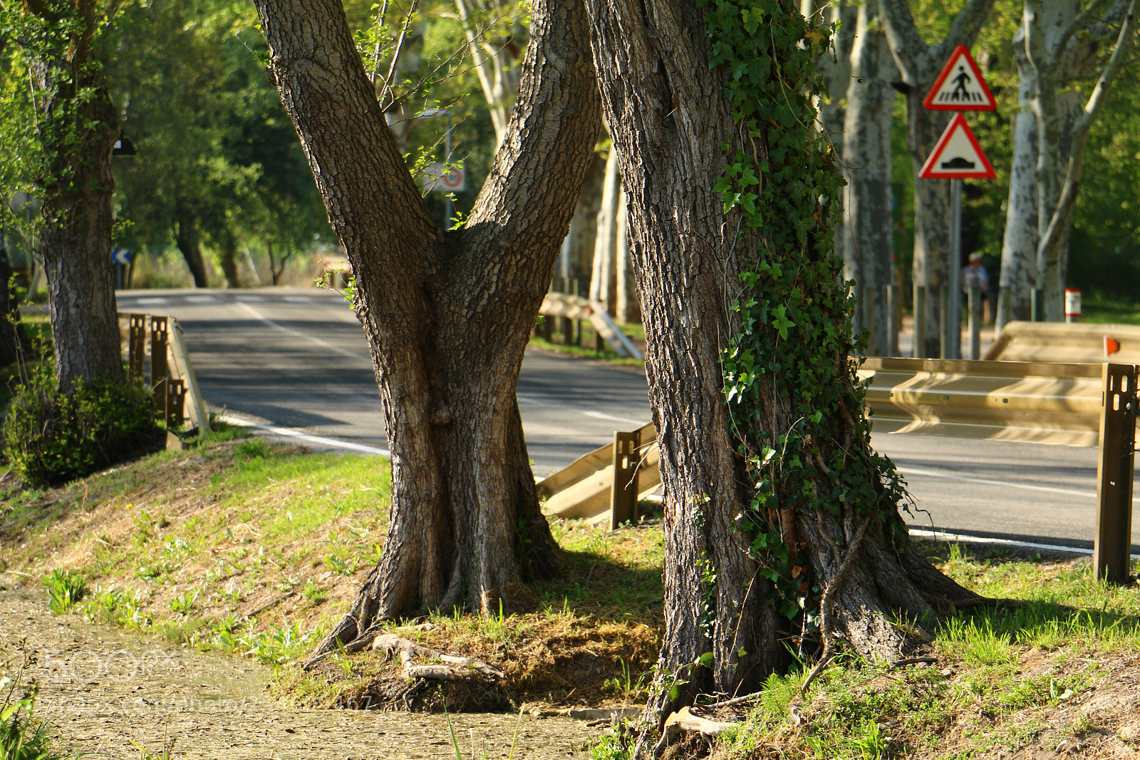 Canon EOS 70D sample photo. Untitled photography