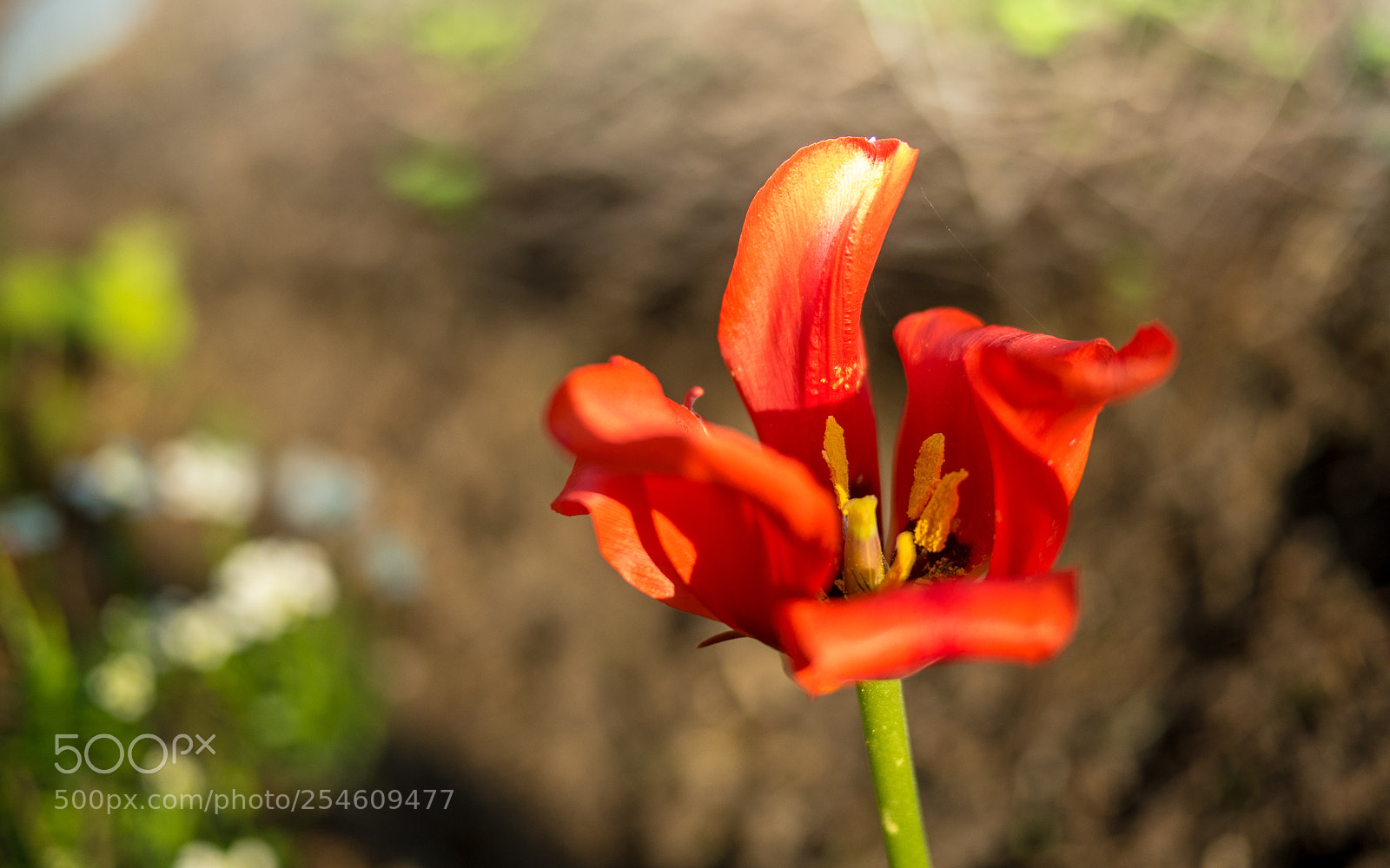 Panasonic Lumix DMC-GH4 sample photo. Heute photography
