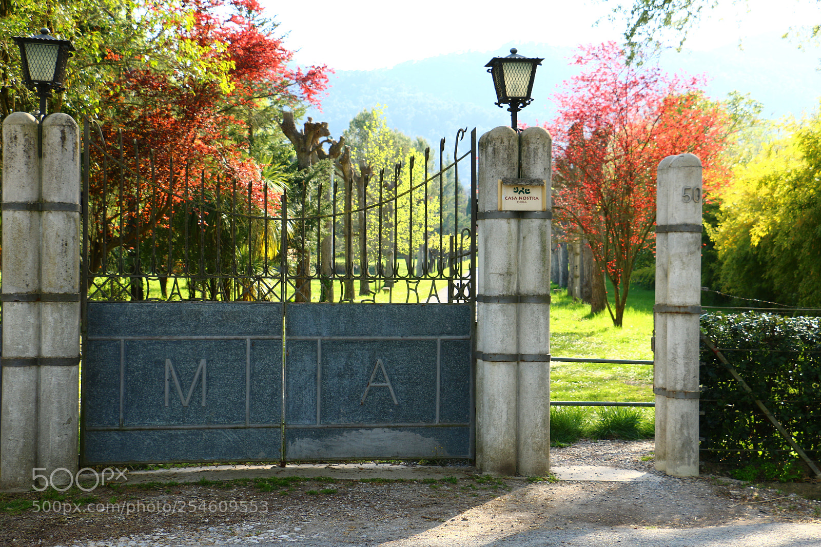 Canon EOS 70D sample photo. Untitled photography