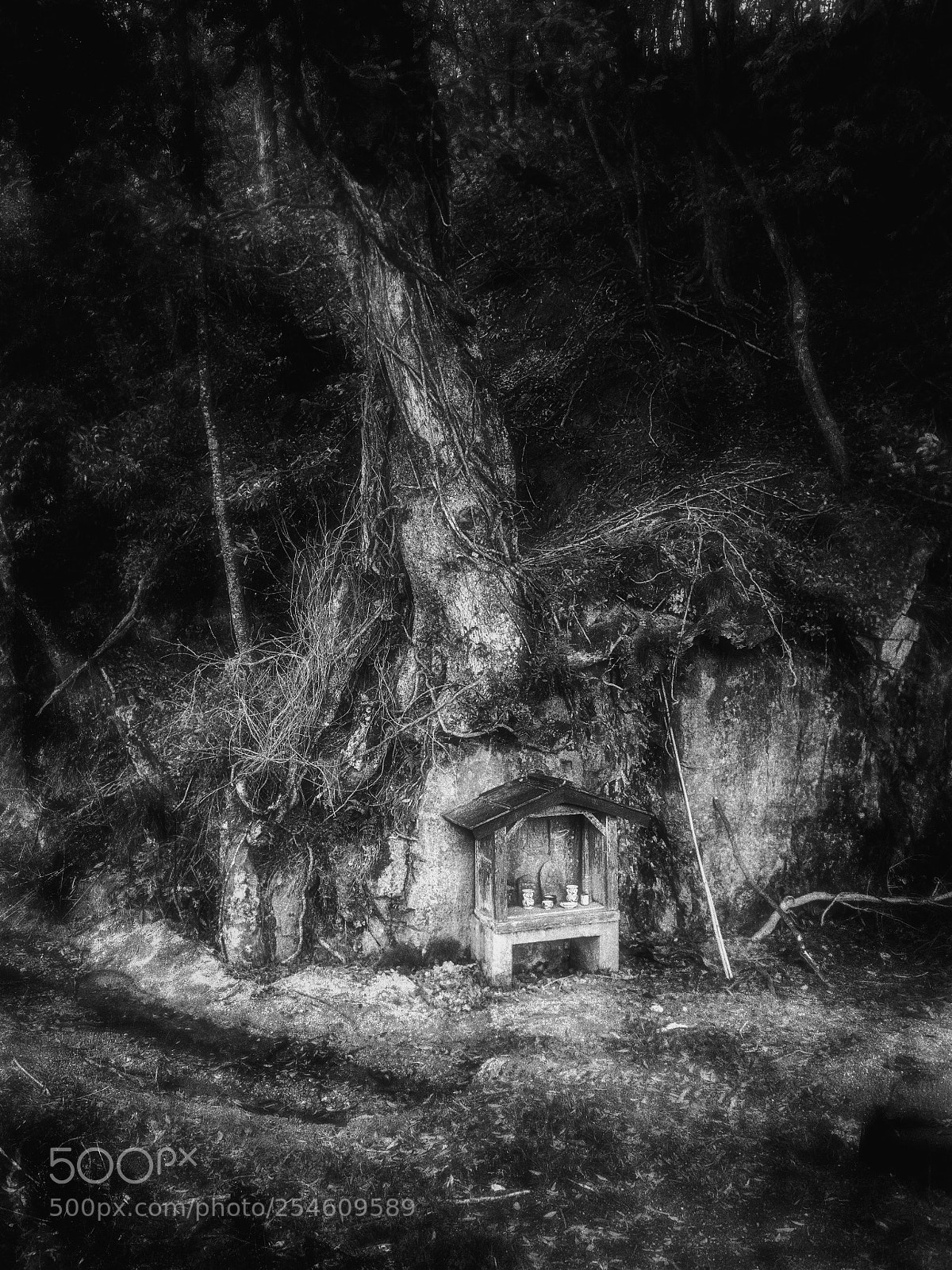 Ricoh GR sample photo. Superstition photography