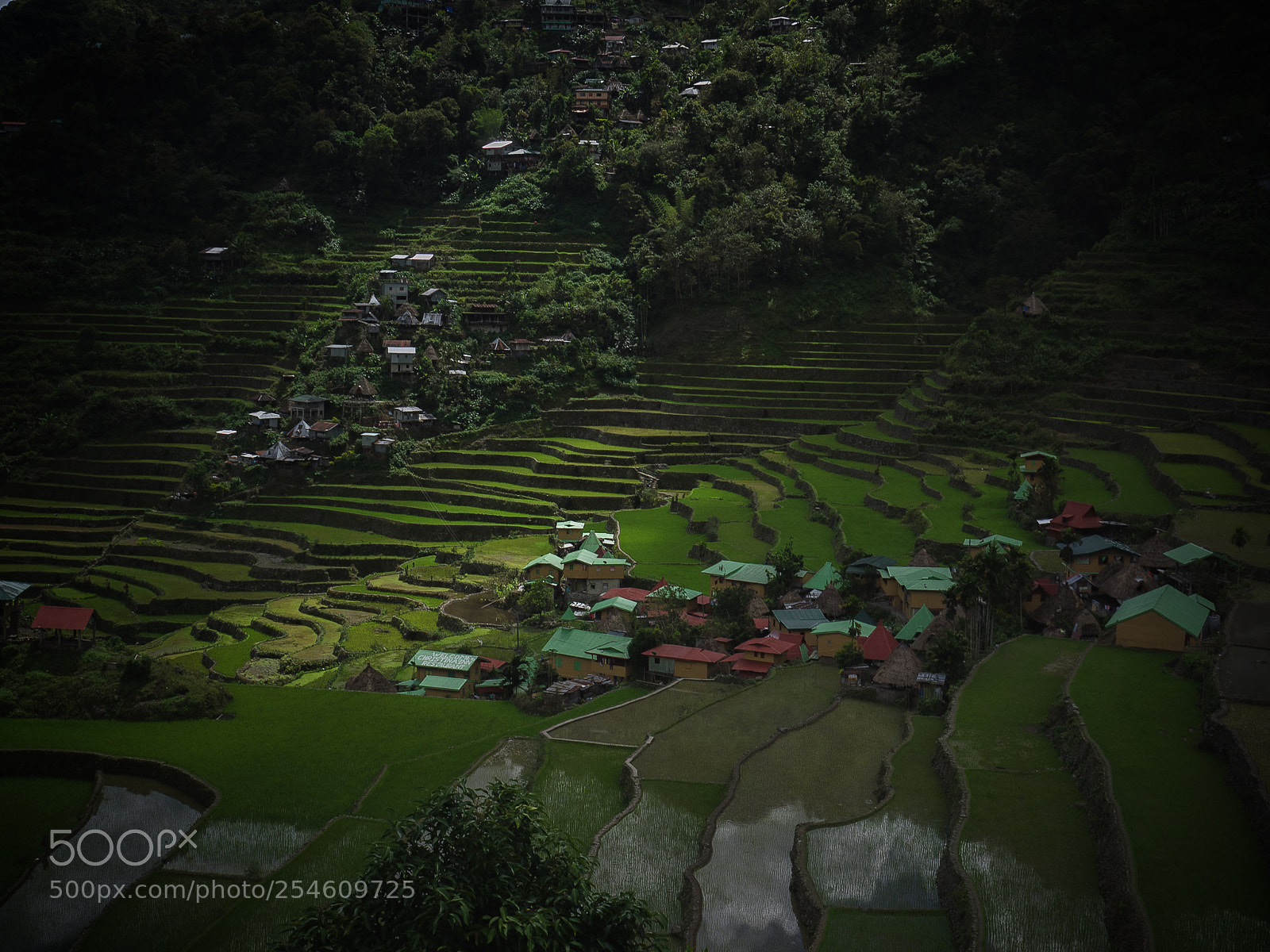 Olympus OM-D E-M1 sample photo. 'batad rice terraces' photography