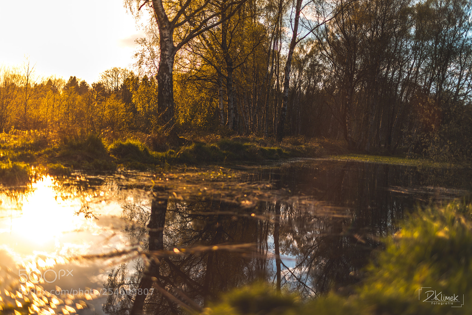 Canon EOS 5D Mark IV sample photo. Landscape_26 photography