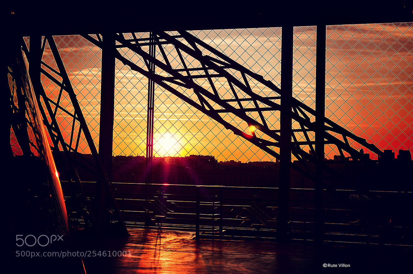 Nikon D90 sample photo. Sunset inside the eiffel photography