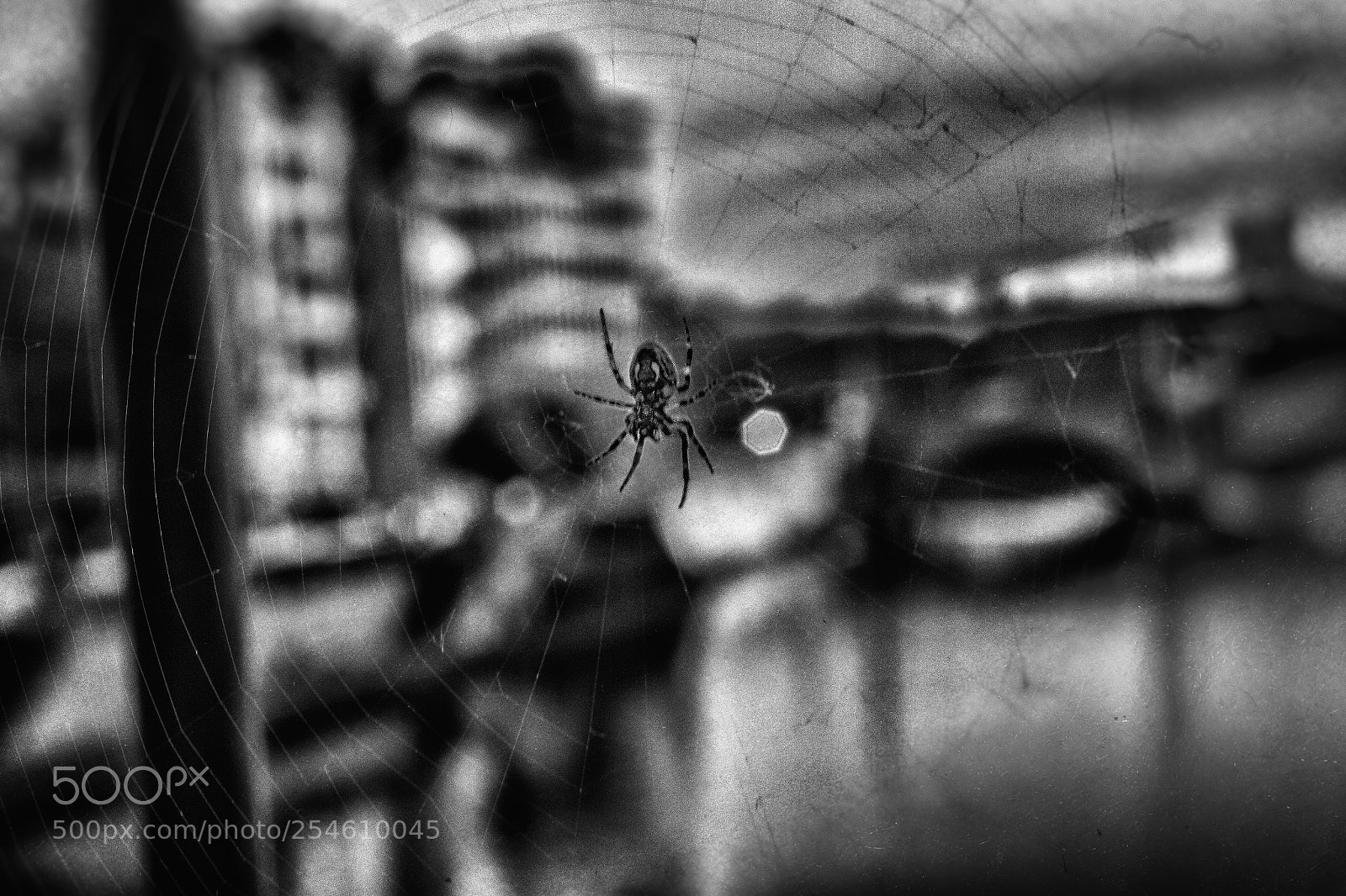 Canon EOS 7D sample photo. Fear on the city photography