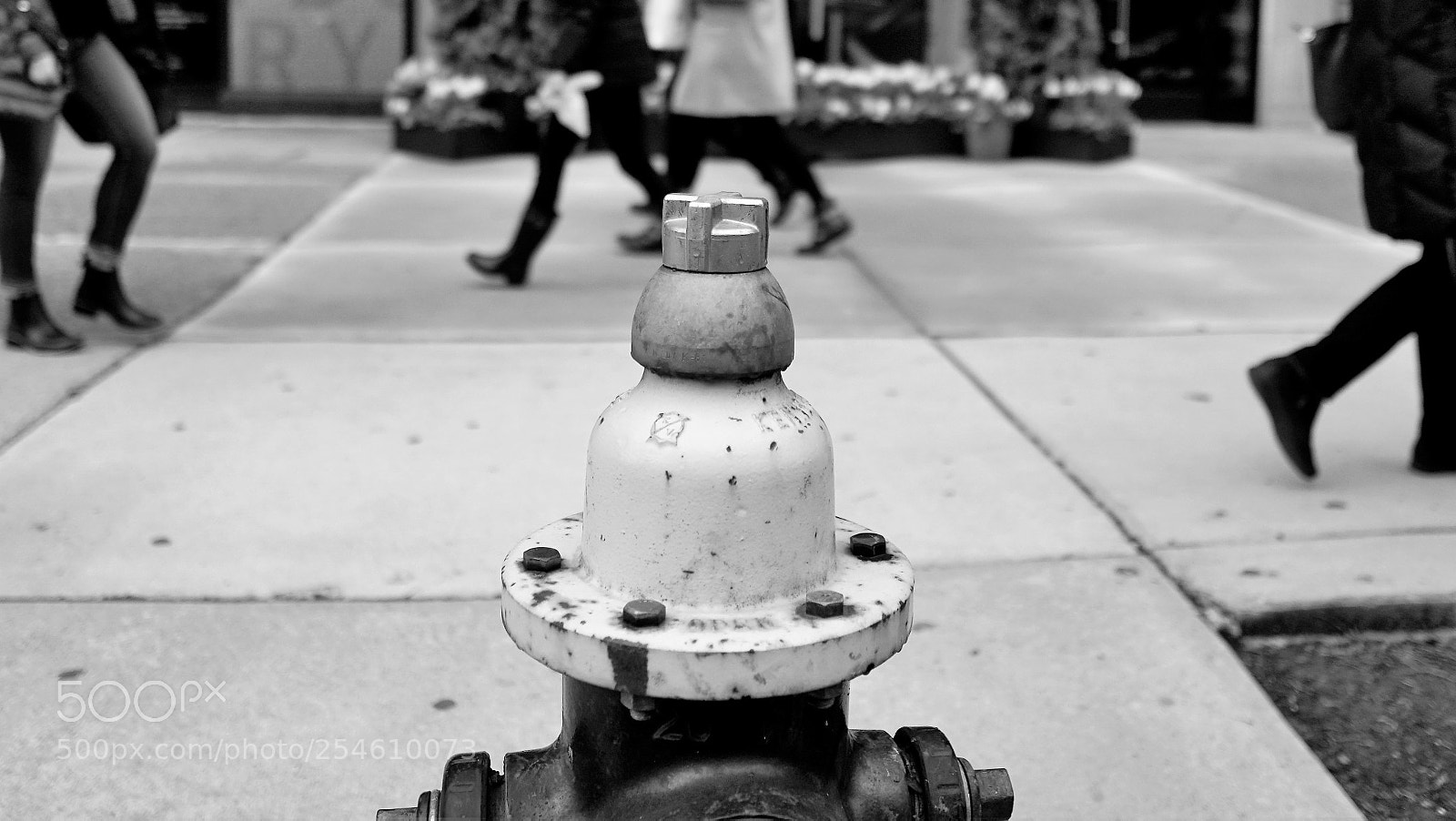 Sony a6500 sample photo. A fire hydrant on photography