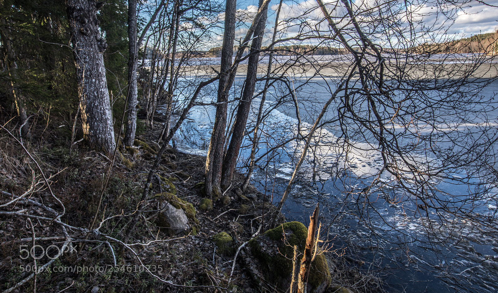 Canon EOS 5D Mark IV sample photo. By the lake photography