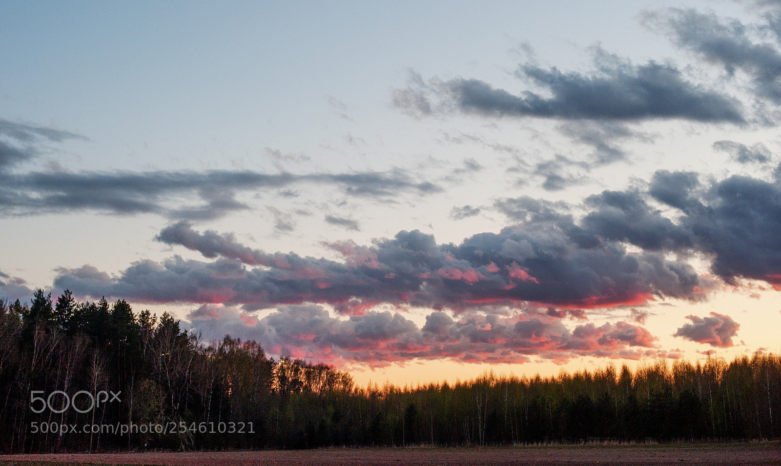 Nikon D3 sample photo. Evening sky photography