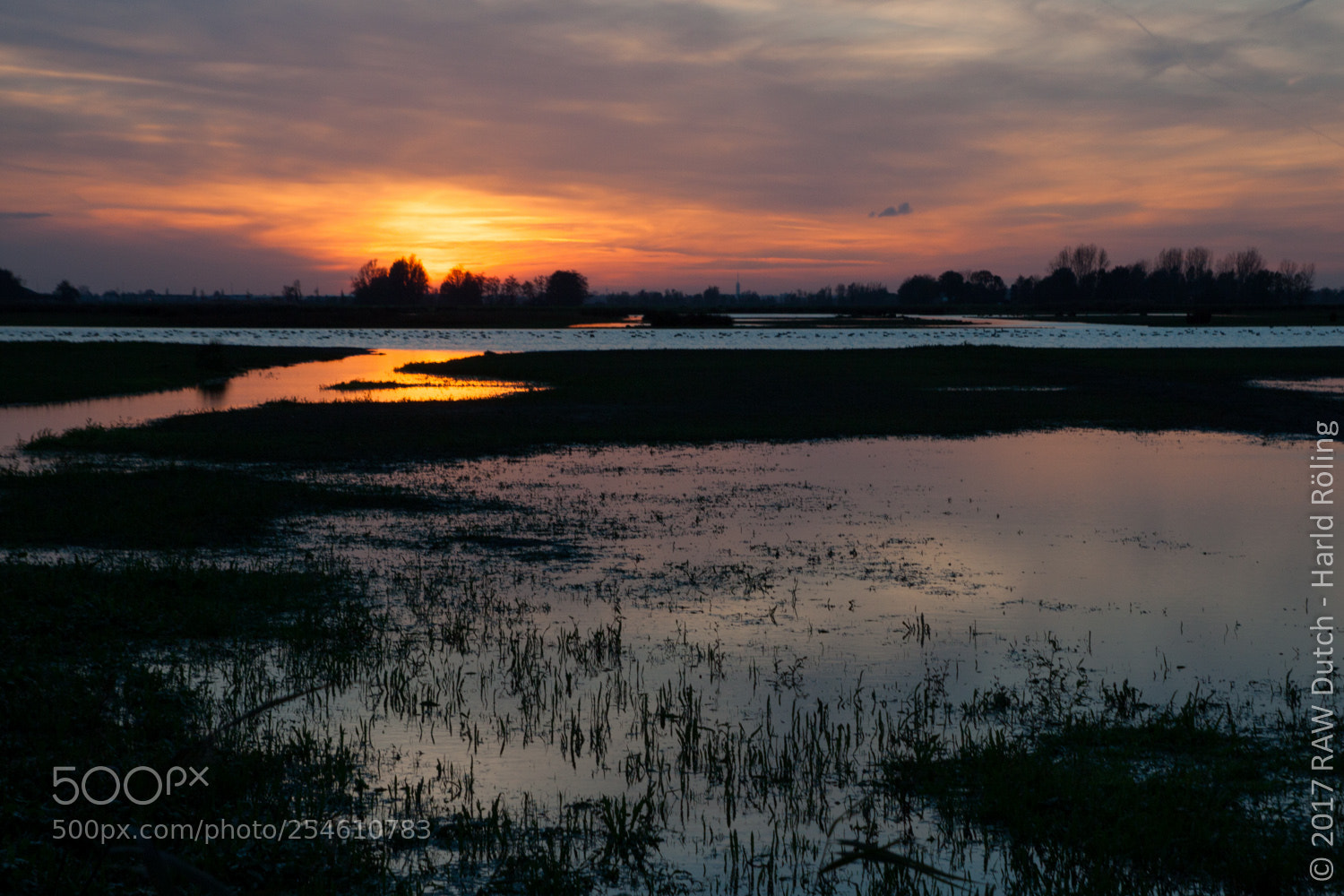 Canon EOS 50D sample photo. Untitled photography